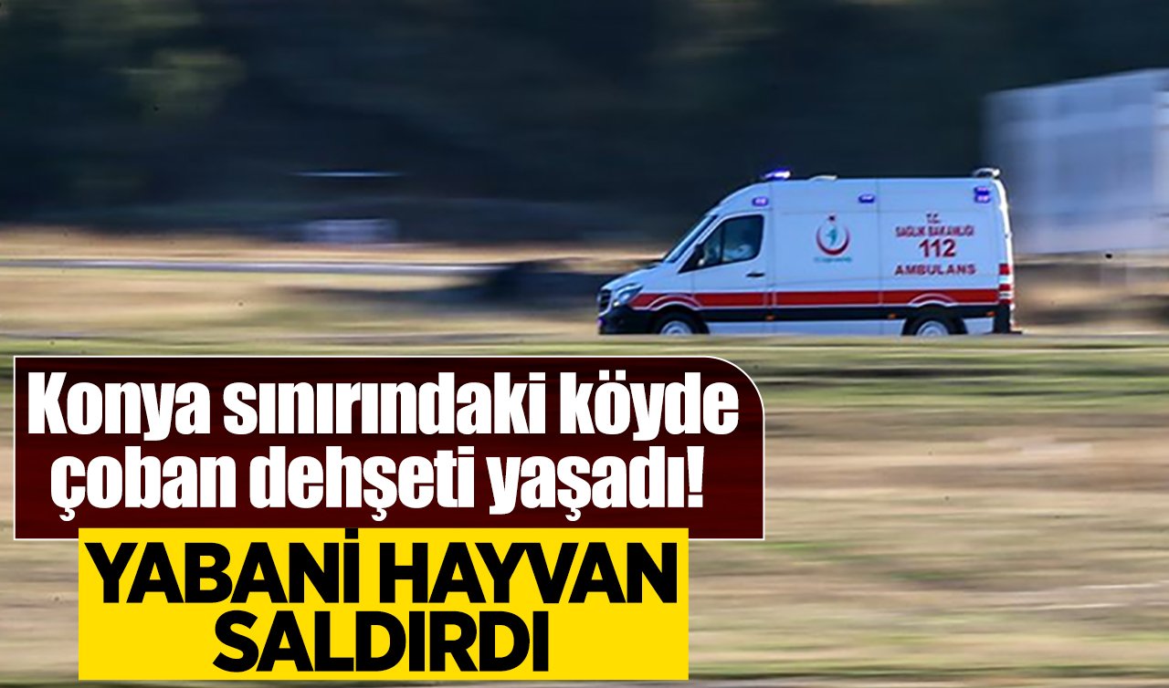 Konya sınırındaki köyde çoban dehşeti yaşadı! Yabani hayvan saldırdı