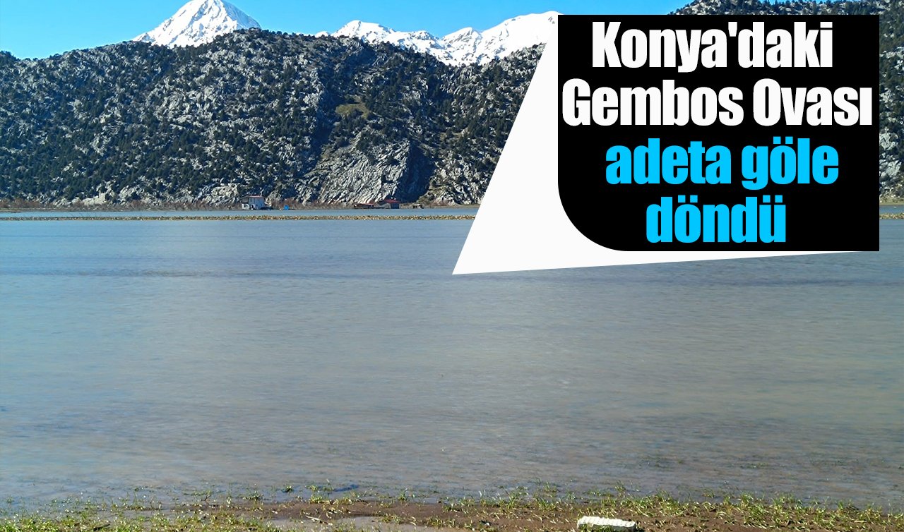 Konya’daki Gembos Ovası adeta göle döndü