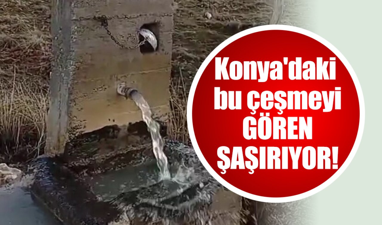 Konya’daki çeşmeyi gören şaşırıyor! Yazın ilk o gitmişti