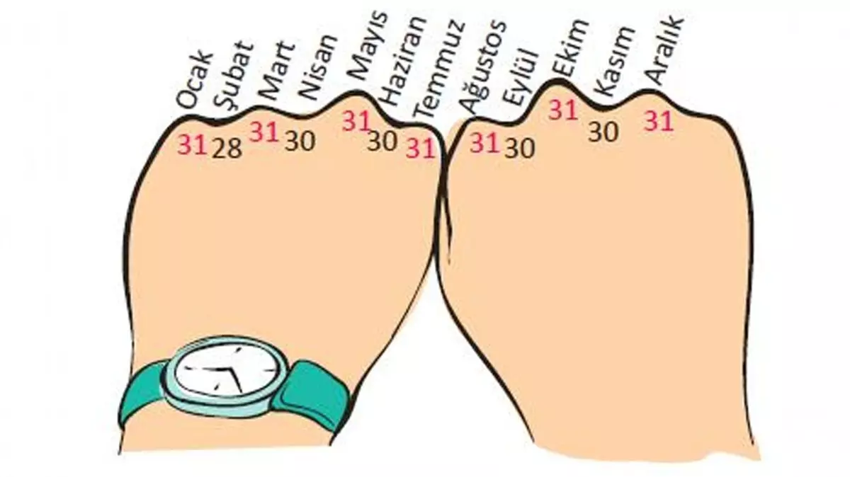 İki ay sonra bugün Dünya Kadınlar Günü diyen biri, kendi doğum gününü tam iki ay önce kutlamışsa hangi ayda doğmuştur? Beyaz’la Joker 500 bin tl’lik soru