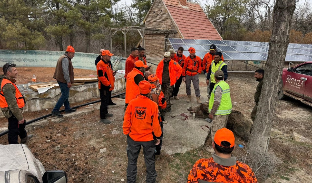 Konya’da yaban domuzlarına sürek avı düzenlendi