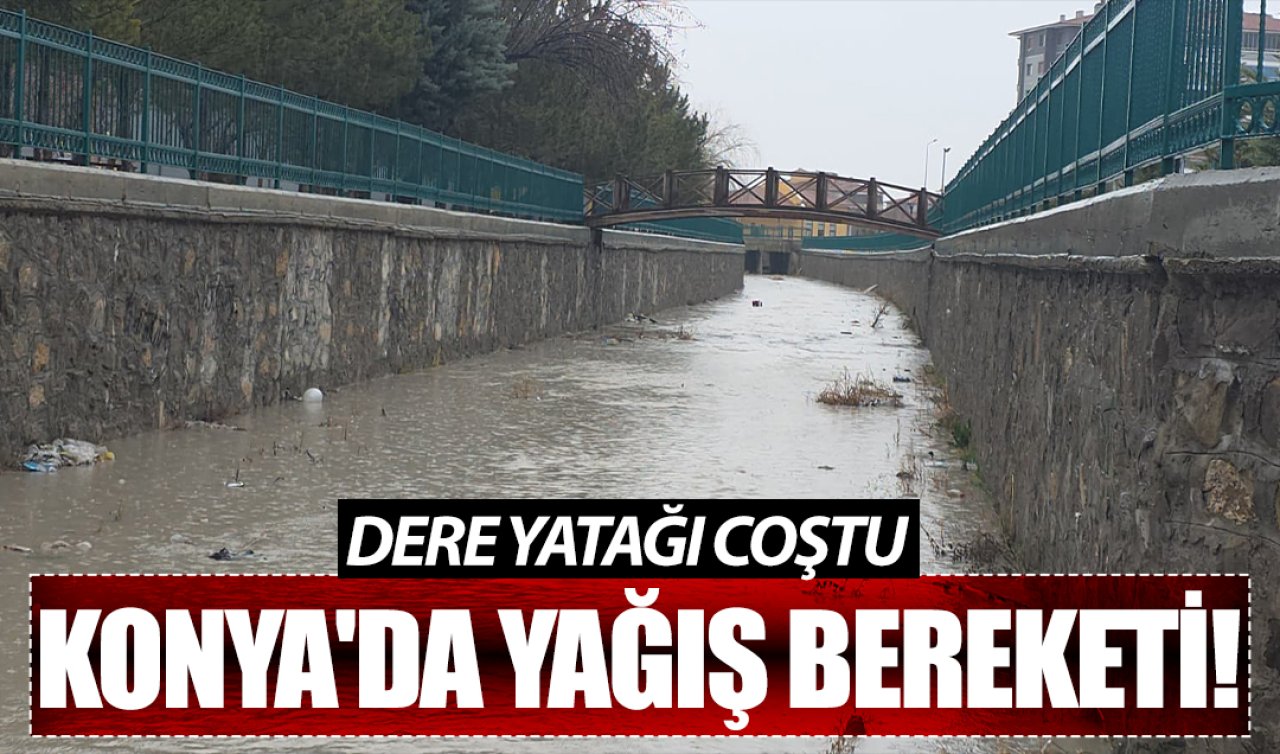 Konya’da yağış bereketi! Dere yatağı coştu