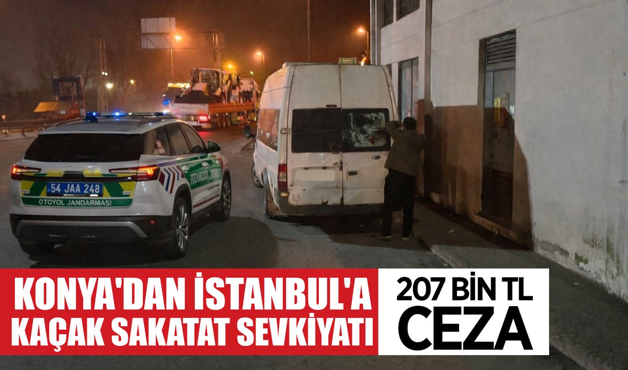 Konya’dan İstanbul’a kaçak sakatat sevkiyatı: 207 bin TL ceza