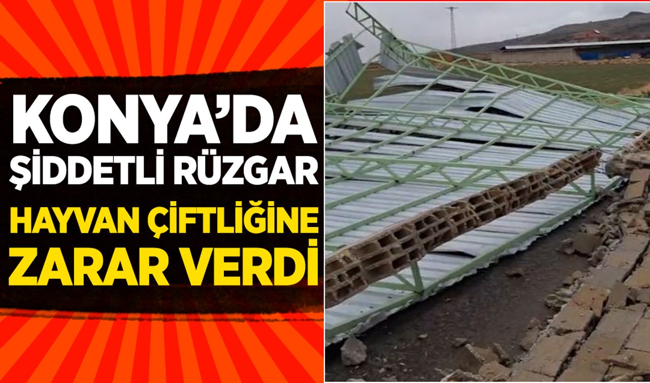 Konya’da şiddetli rüzgar hayvan çiftliğine zarar verdi