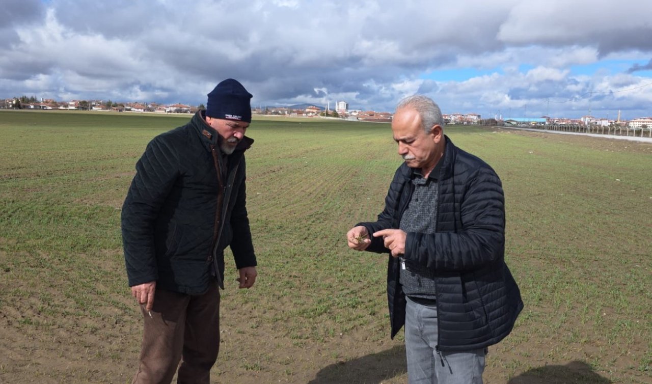 Kulu Ziraat Odası Başkanı Öztürk yağış sonrası göl ve tarım arazilerinde incelemelerde bulundu