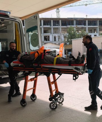 Budadığı ceviz ağacından düşüp yaralandı