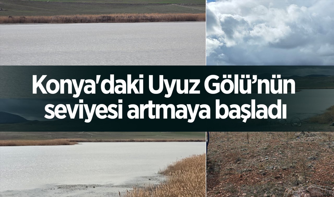 Konya’daki Uyuz Gölü’nün seviyesi artmaya başladı