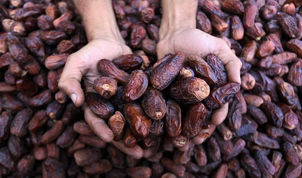 Hurma nasıl saklanır? Buzdolabına koyan pişman oluyor