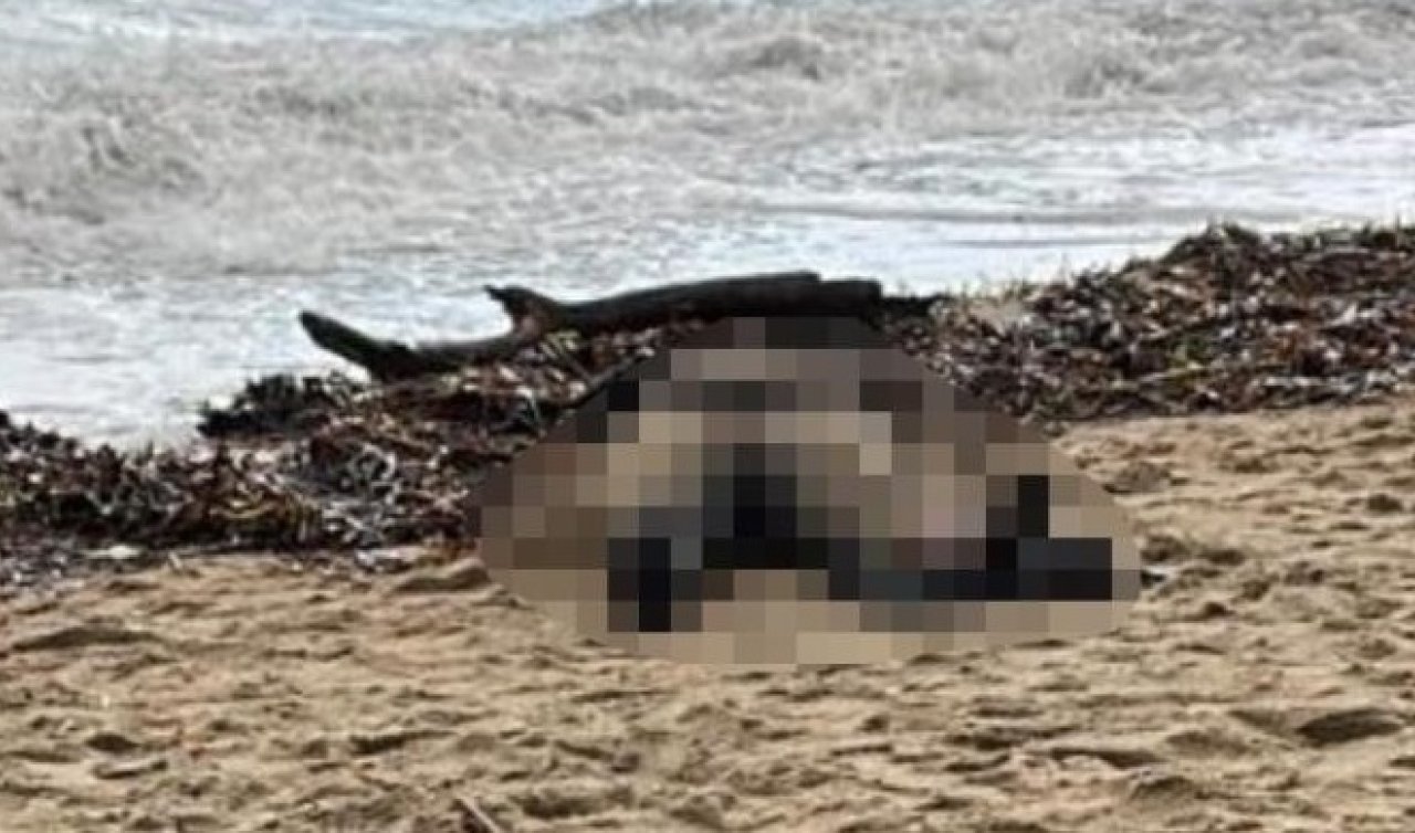 Kıyıya vuran kadın cesedi olayının sis perdesi aralanıyor