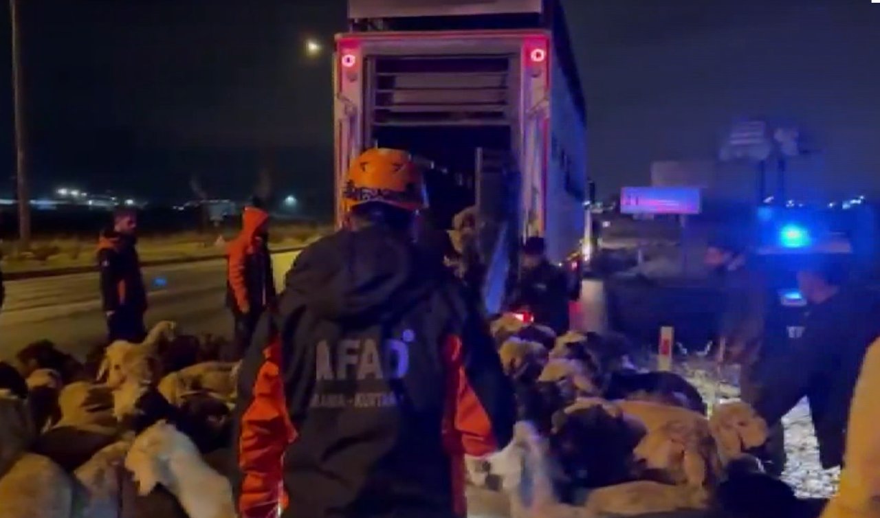 Su baskını riskine karşı 200 hayvan tahliye edildi