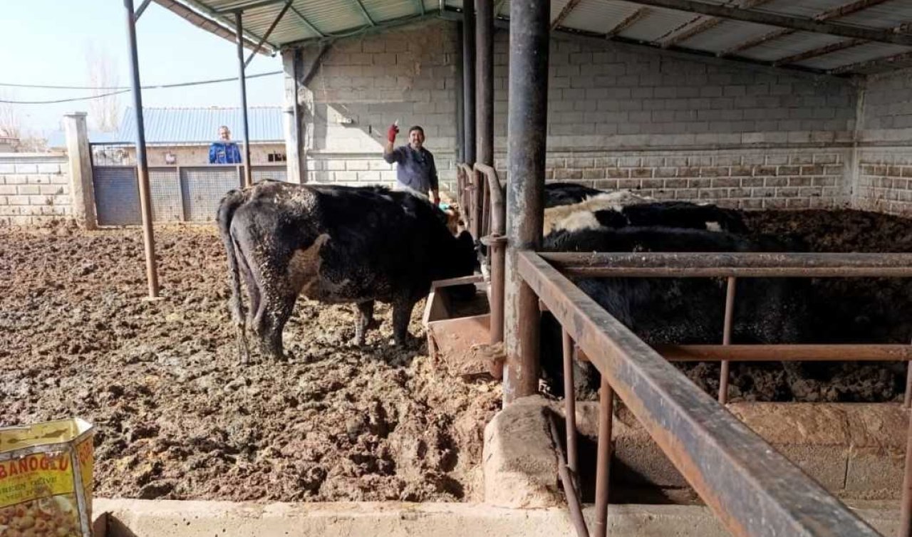 Selçuklu’da şap aşılama seferberliği başladı