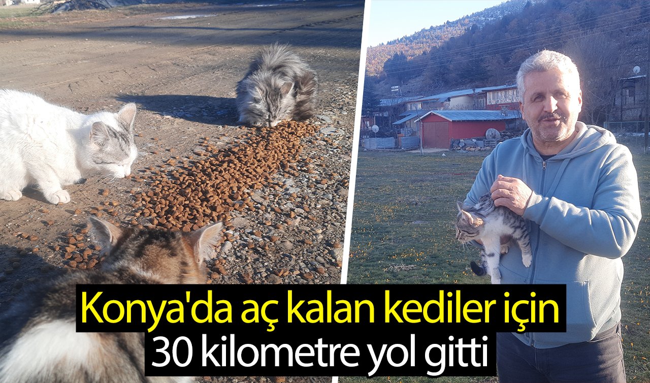 Konya’da aç kalan kediler için 30 kilometre yol gitti