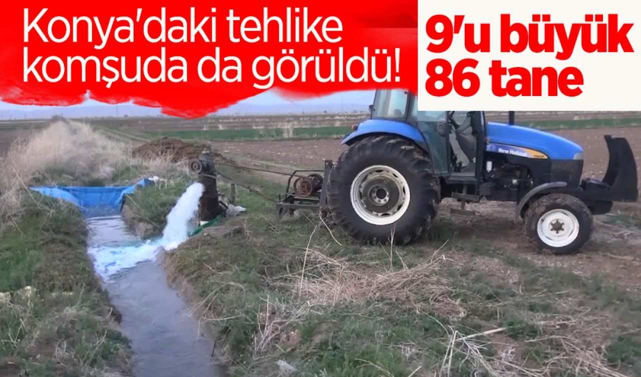 Konya’daki tehlike komşuda da görüldü! 9’u büyük 86 tane 