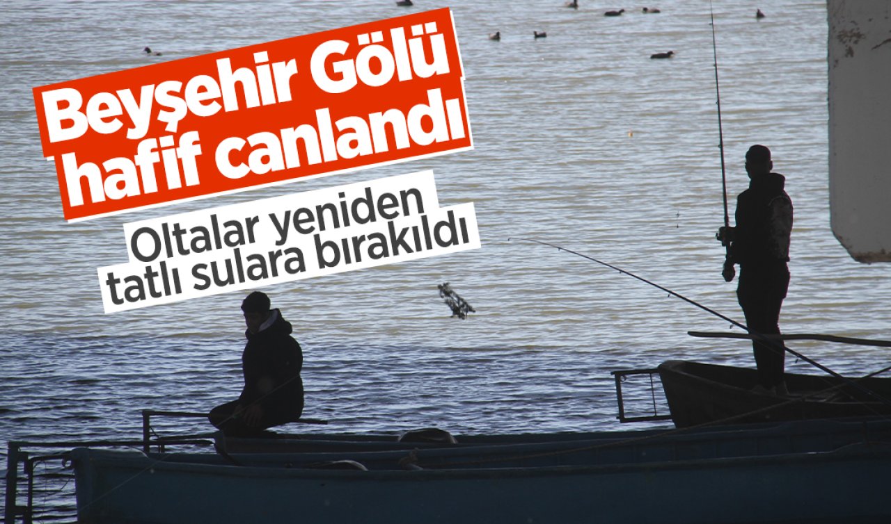 Beyşehir Gölü hafif canlandı: Oltalar yeniden tatlı sulara bırakıldı