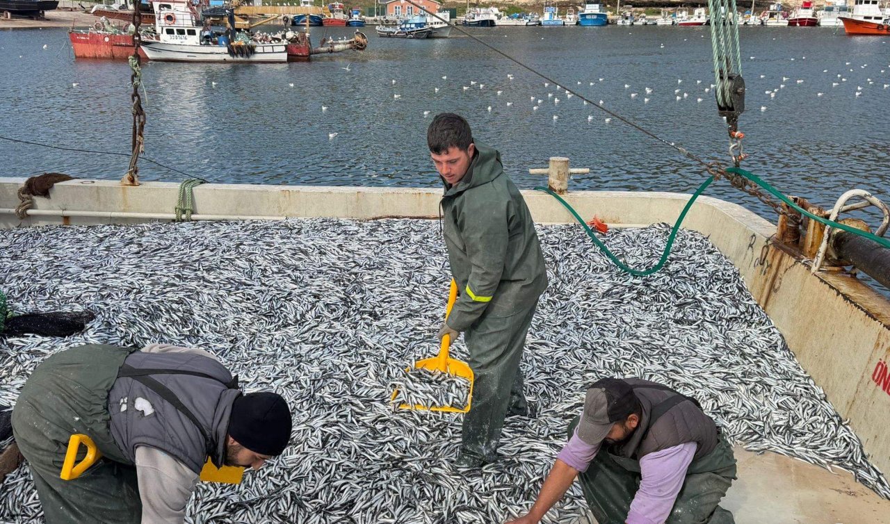 Balıkçılar Karadeniz’de 6 saatte 30 ton hamsi avladı