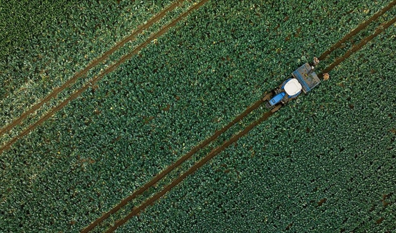 Son dönem yağışları su kaynaklarına ve tarımsal üretime olumlu yansıdı