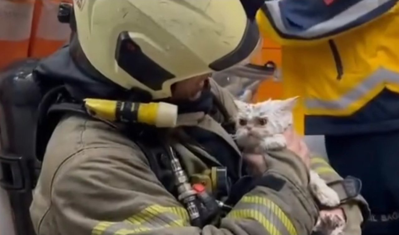 Metruk binada çıkan yangın yanındaki ahşap binaya sıçradı: Bir kedi kurtarıldı
