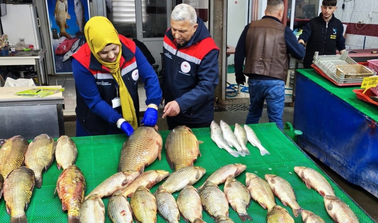 Beyşehir’de su ürünleri denetimleri sürüyor