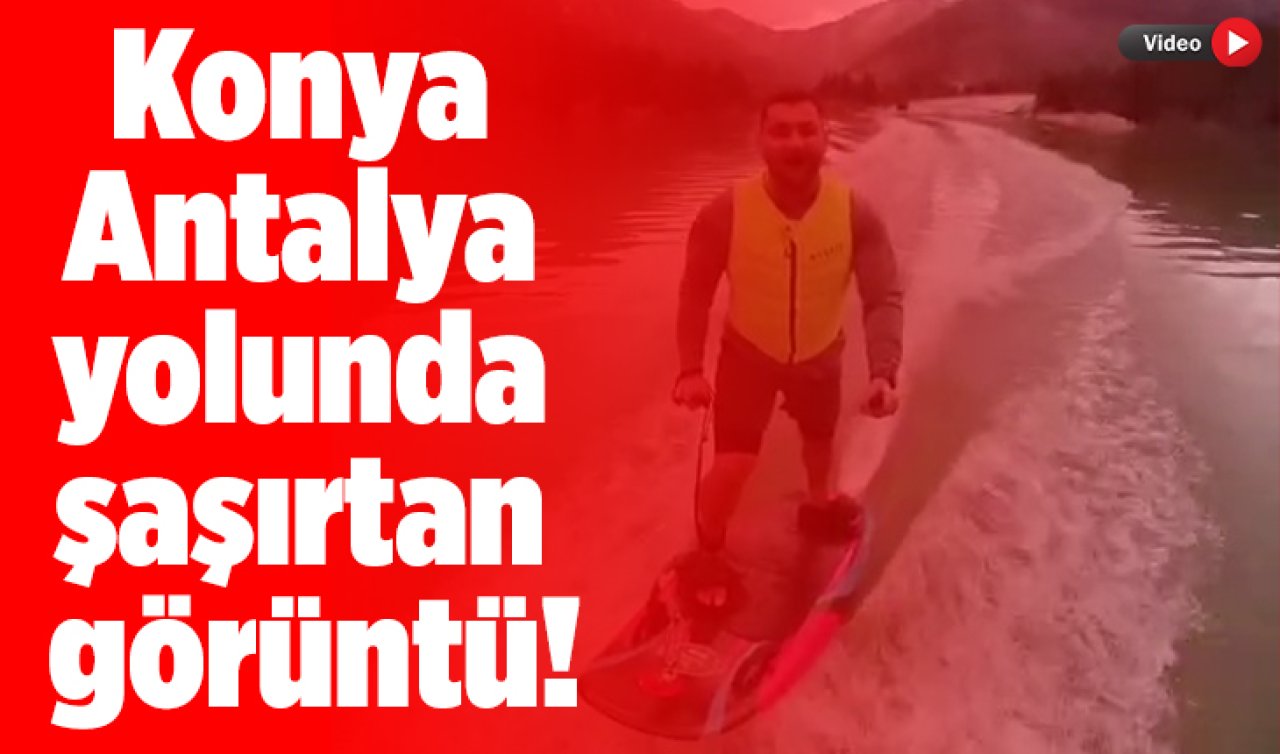 Konya - Antalya yolunda şaşırtan görüntü! “38 yıl sonra doğa emanetini geri aldı’’