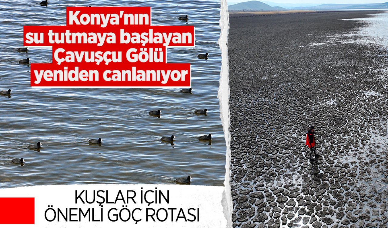 Konya’nın su tutmaya başlayan Çavuşçu Gölü yeniden canlanıyor