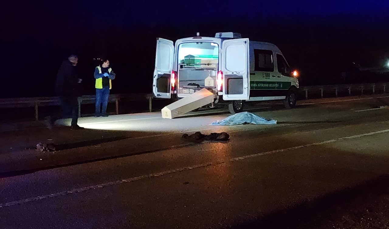 Hafif ticari aracın çarptığı yaya öldü