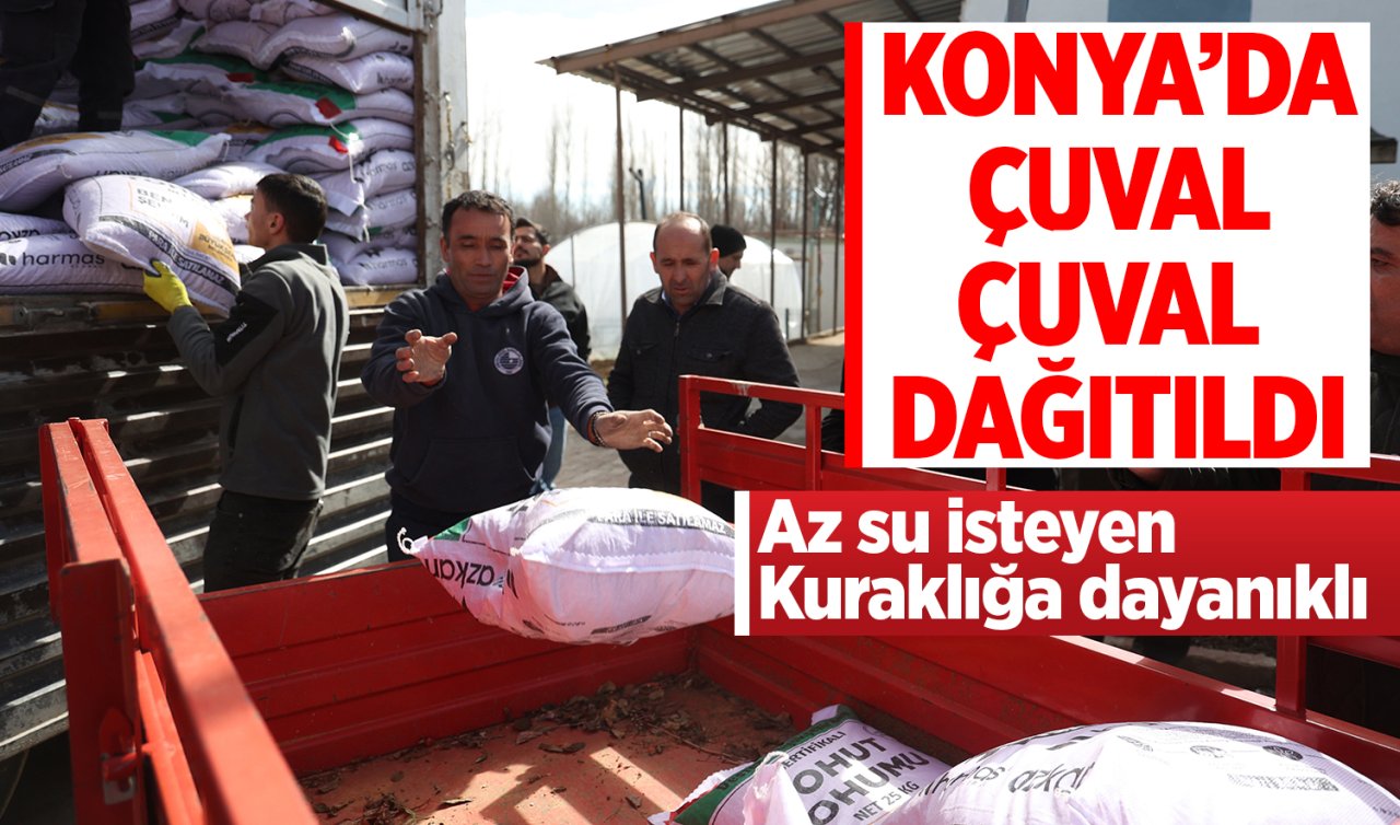 Konya’da çuval çuval dağıtıldı! Az su isteyen, kuraklığa dayanıklı