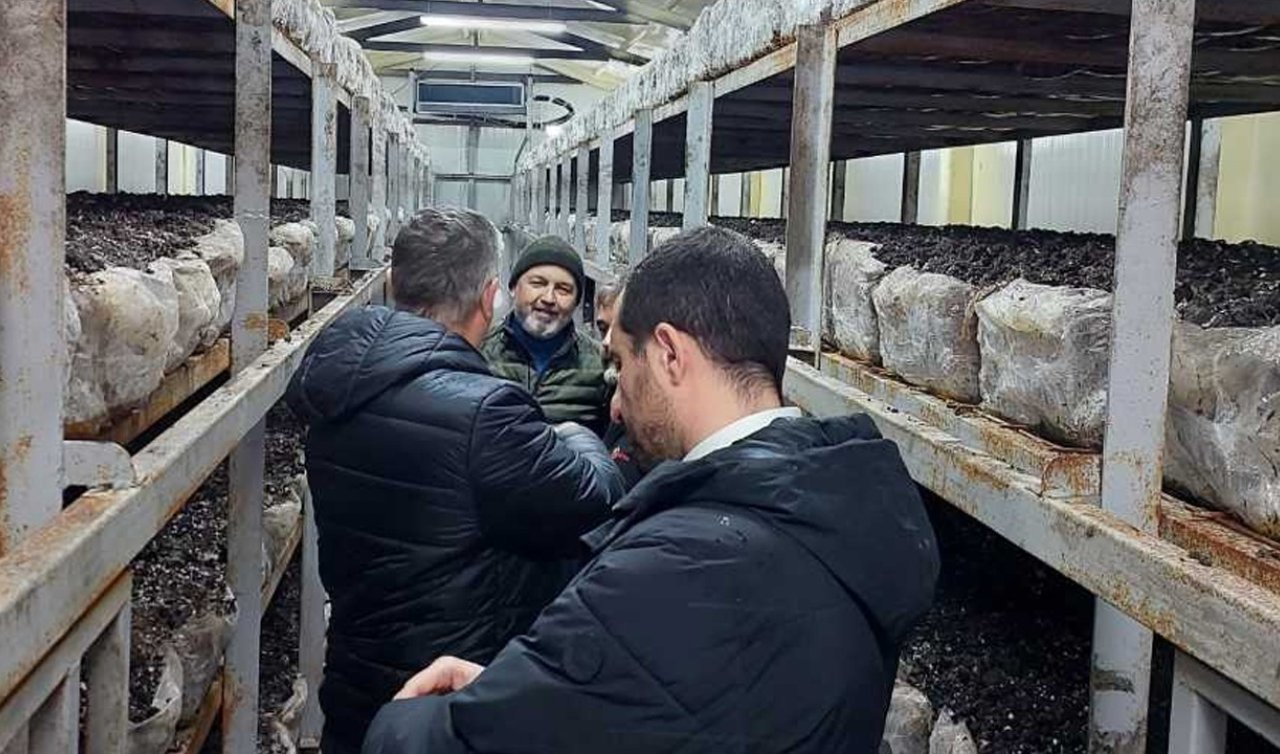 Kadınhanı’nda mantar üreticilerine destek