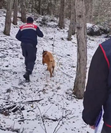 Ormanda bulunan kafatası ve kemik parçaları 2 kadına ait çıktı; 10 yıllık çifte cinayet aydınlatıldı