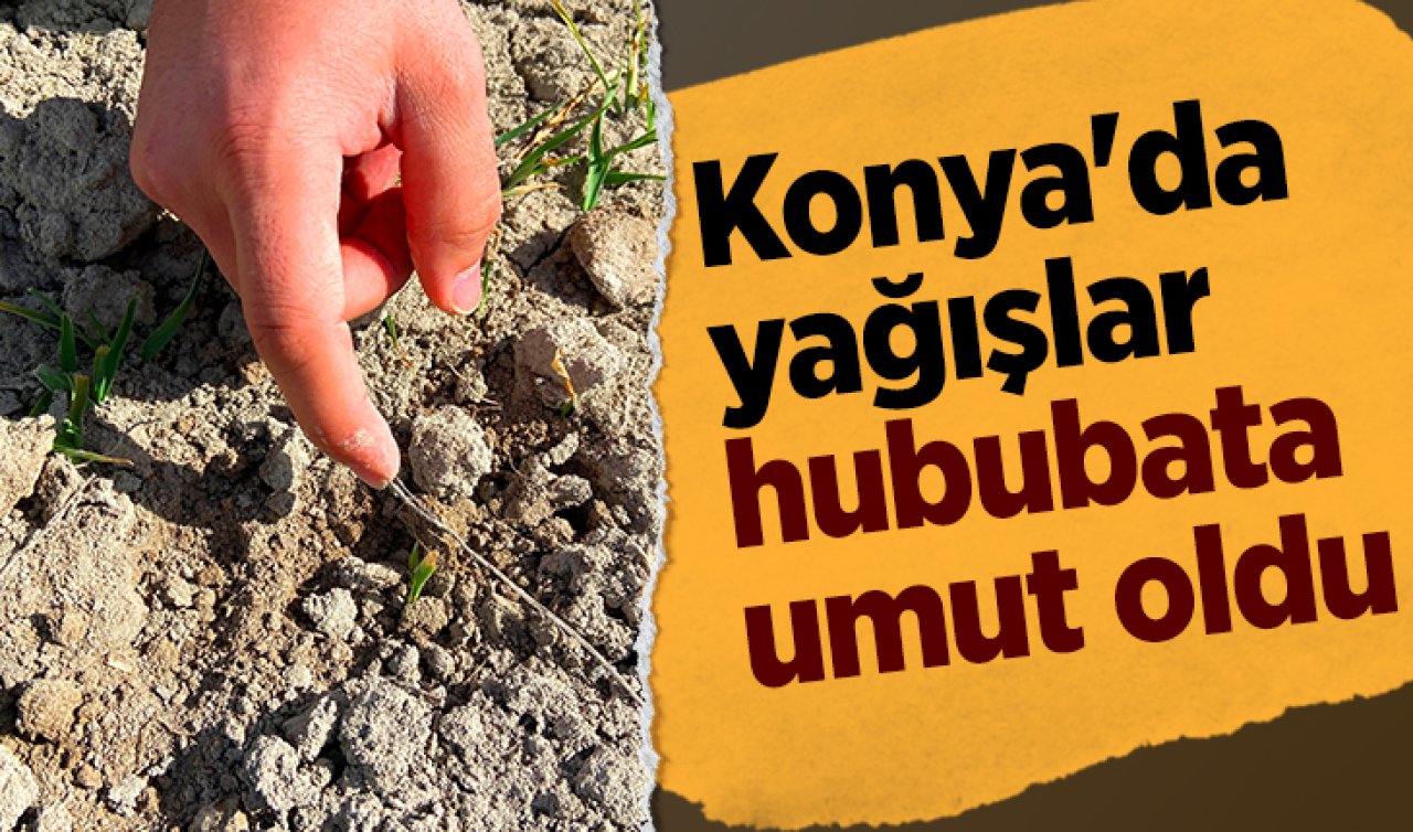 Konya’da yağışlar hububata umut oldu