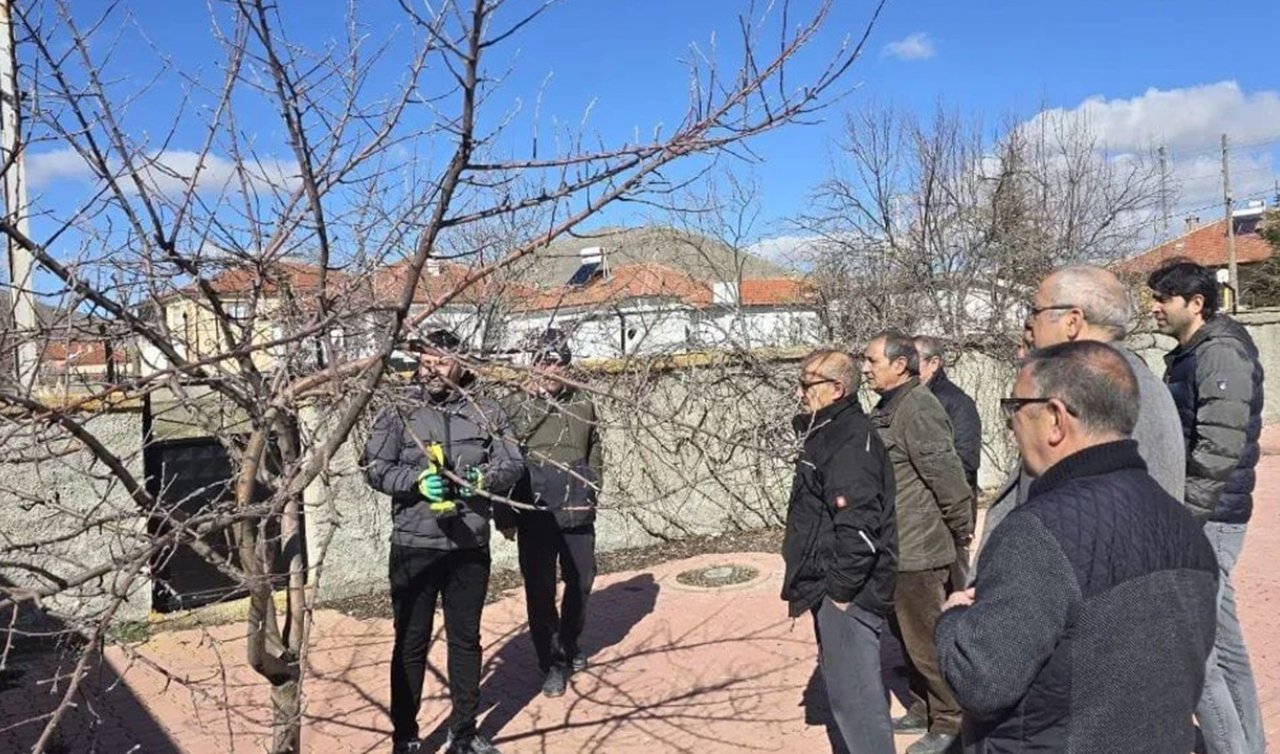 Kulu’da meyve ağaçlarında budama eğitimi düzenlendi