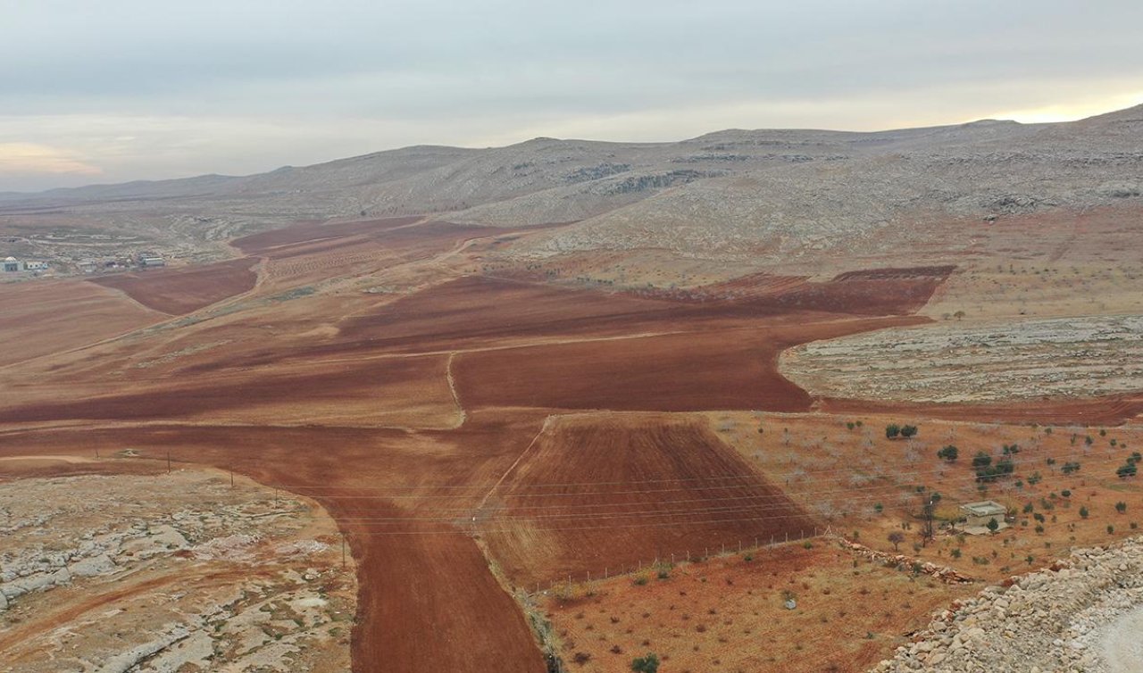 İşlenmeyen tarım arazileri için düğmeye basıldı