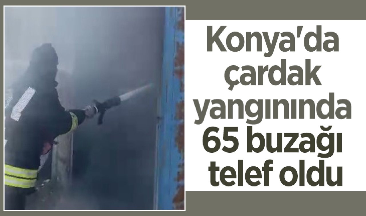 Konya’da çardak yangınında 65 buzağı telef oldu