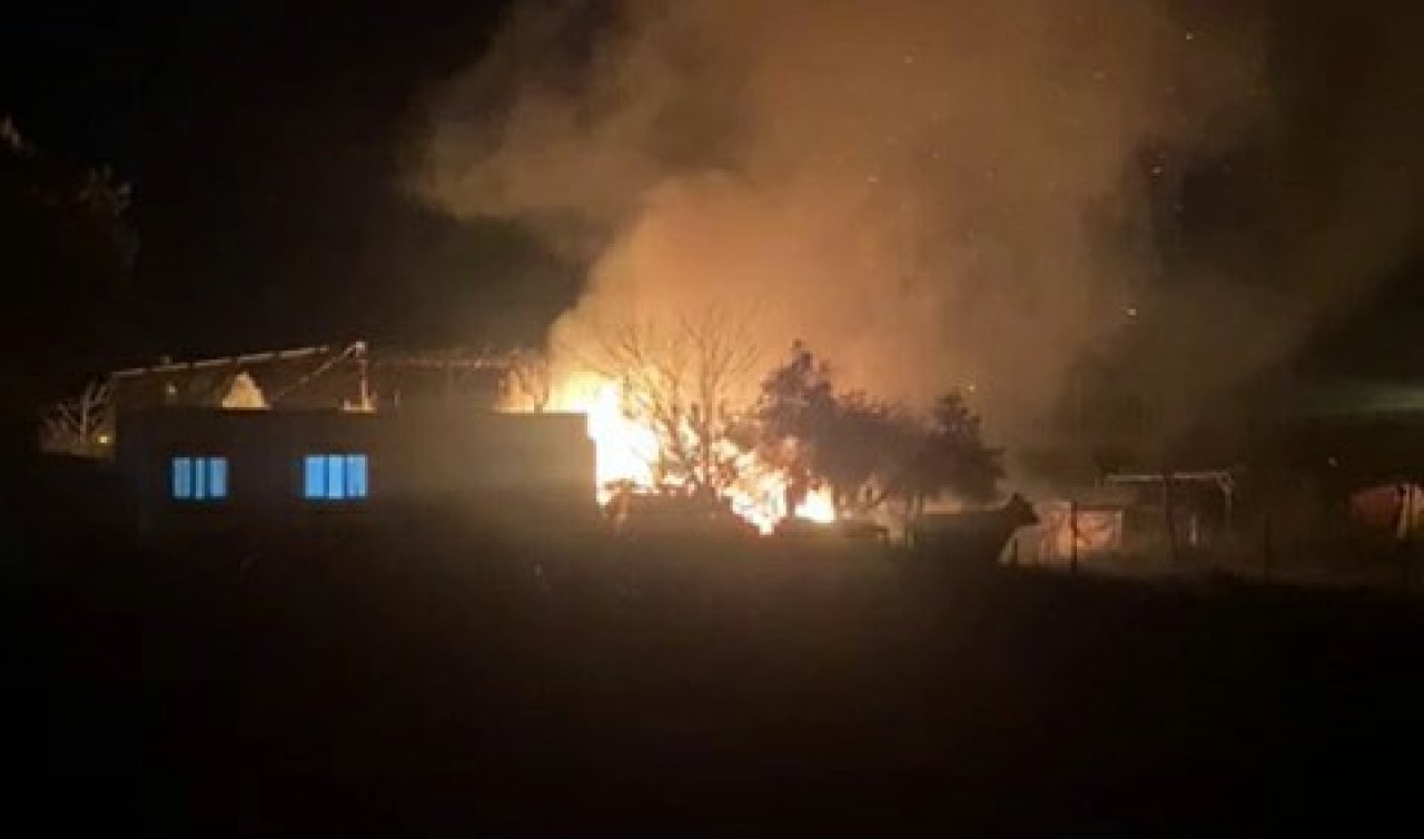 Bir evin deposunda çıkan yangından 40 güvercin öldü