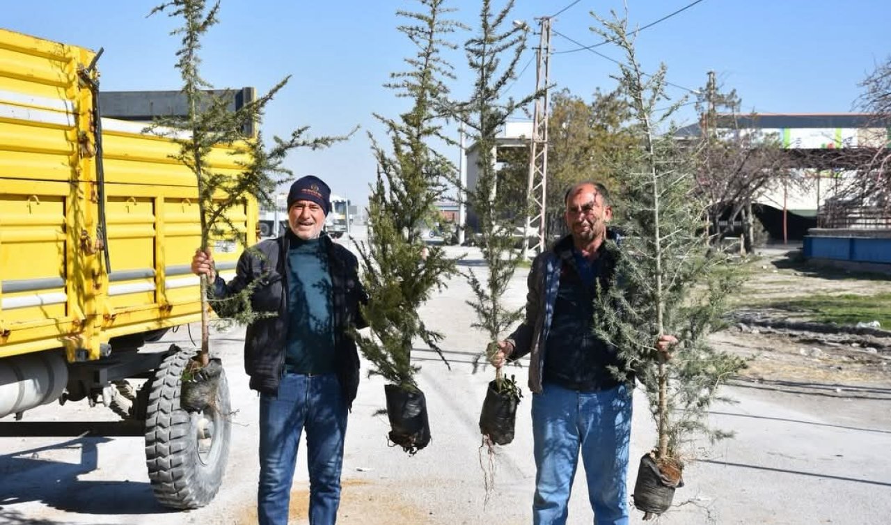 Karapınar’da yeşil seferberlik: 1 Saatte 4 Bin fidan toprakla buluşmaya gitti!