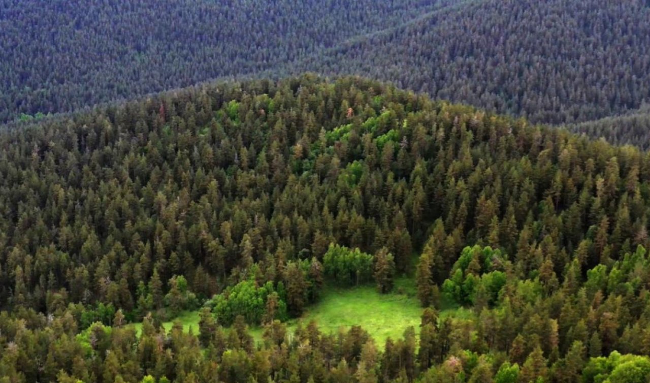 Milli parklar kanun teklifi TBMM’de kabul edildi