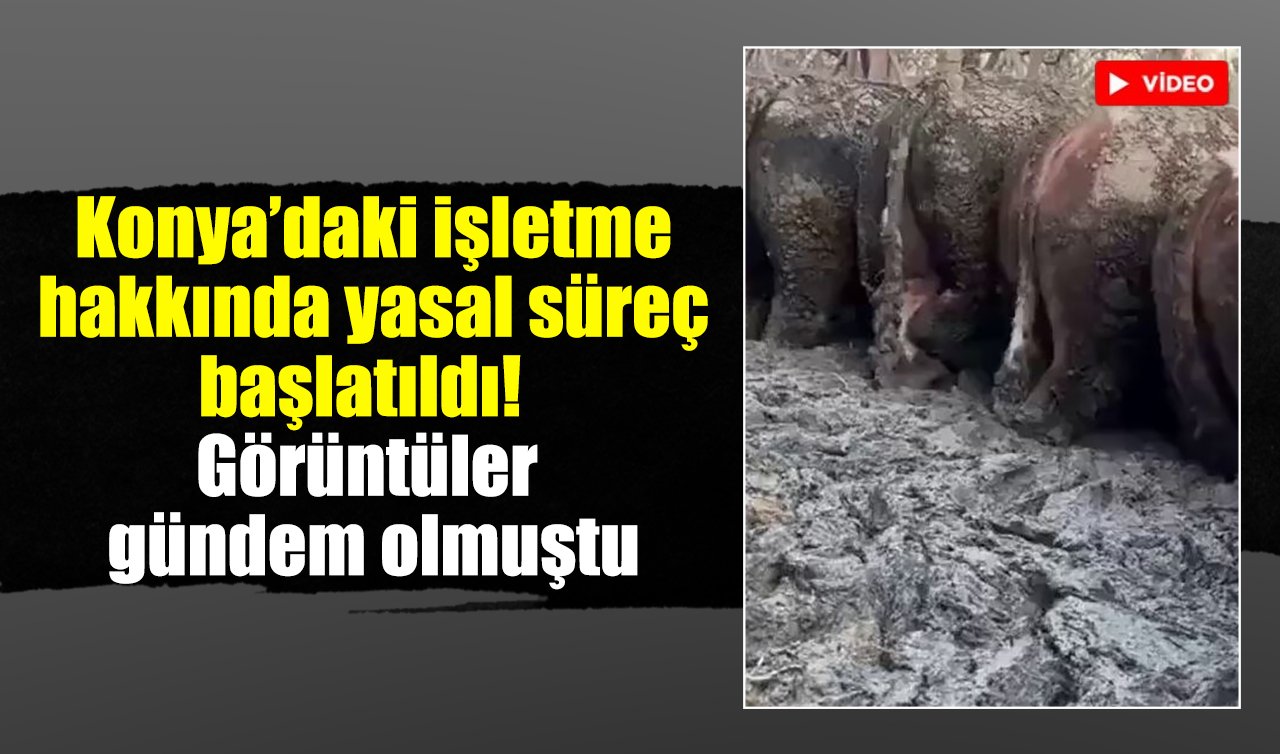 Konya’daki işletme hakkında yasal süreç başlatıldı! Görüntüler gündem olmuştu