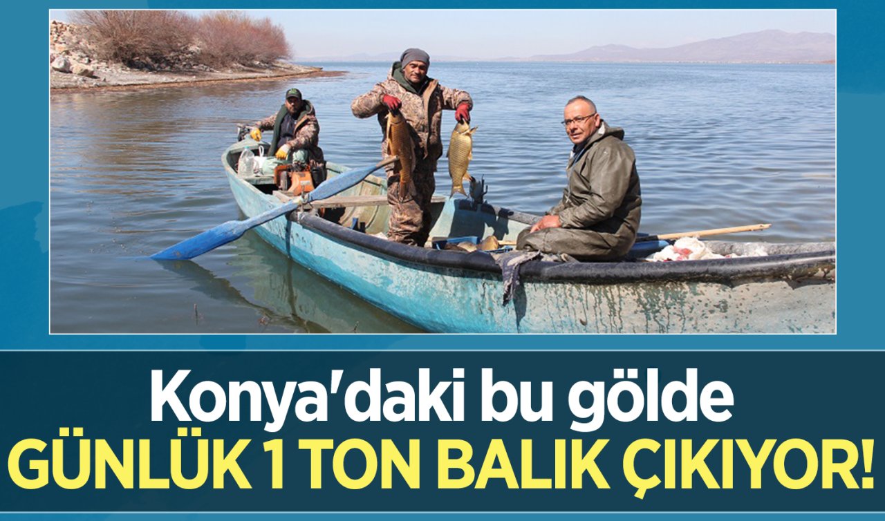 Konya’daki bu gölde günlük 1 ton balık çıkıyor! 