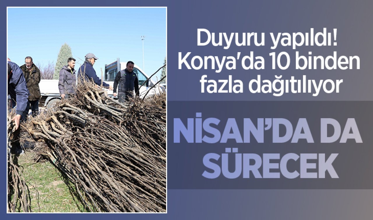 Duyuru yapıldı! Konya’da 10 binden fazla dağıtılıyor: Çeşit çeşit 