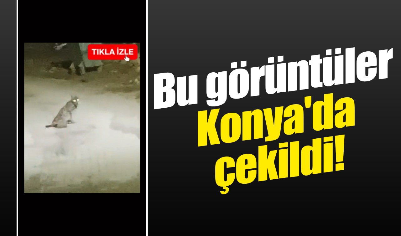 Bu görüntüler Konya’da çekildi!