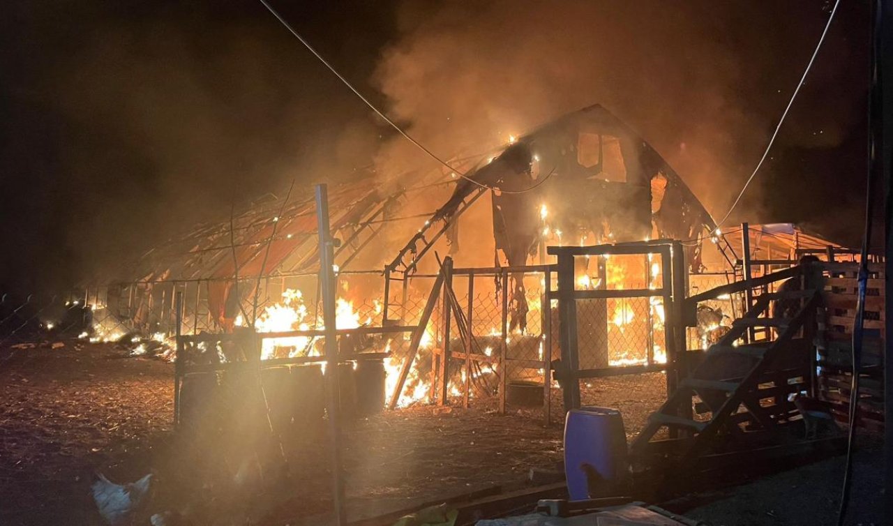 Çiftlikte çıkan yangında çok sayıda hayvan telef oldu