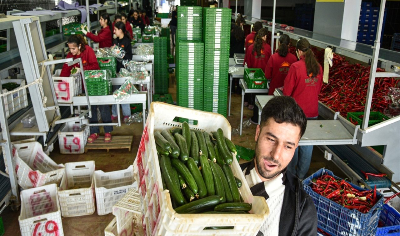 İran savaşı sonrası Türkiye’den Rusya’ya sebze ihracatı arttı 