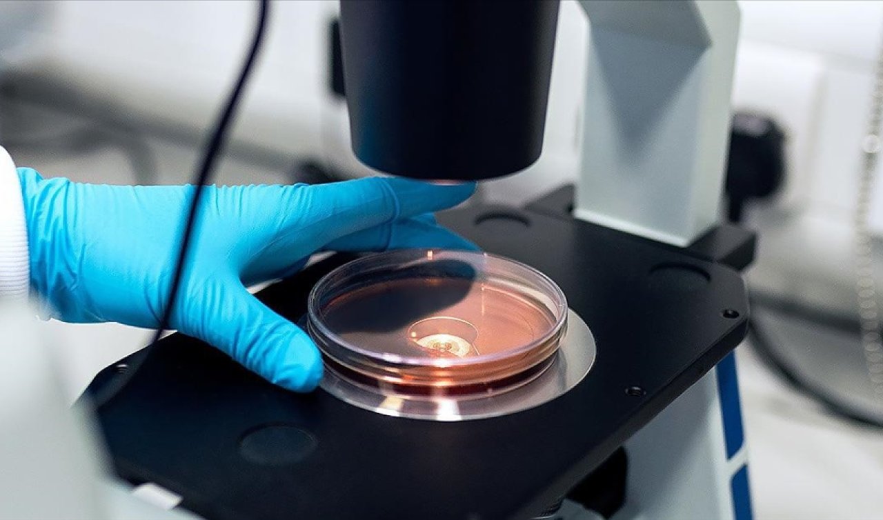  Sağlıklı ve yetişkin bir insanın ağzında yaklaşık ne kadar bakteri vardır ? Milyoner Sorusu