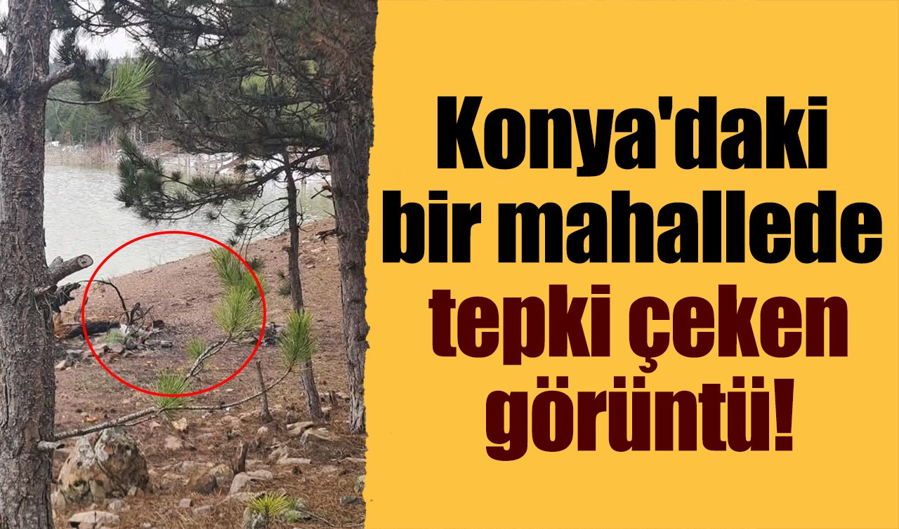 Konya’daki bir mahallede tepki çeken görüntü! 