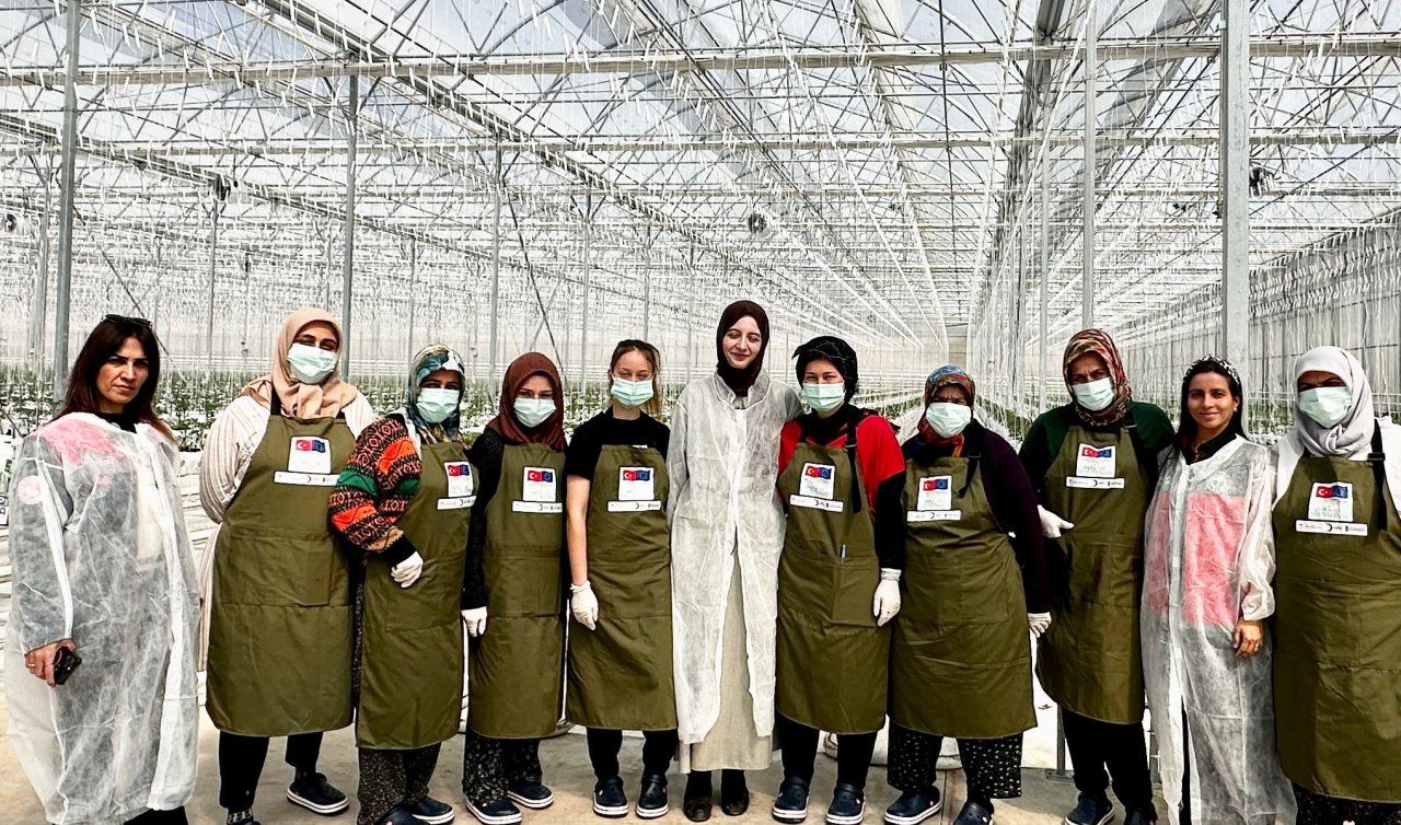 INSURE Projesiyle örtü altı sebze yetiştirme kursu tamamlandı