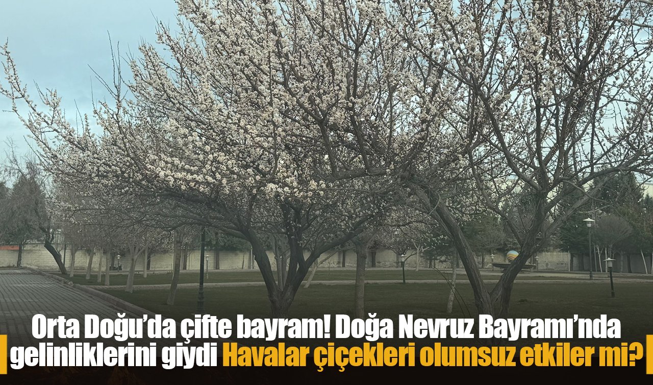 Orta Doğu’da çifte bayram! Doğa Nevruz Bayramı’nda gelinliklerini giydi: Havalar çiçekleri olumsuz etkiler mi? 