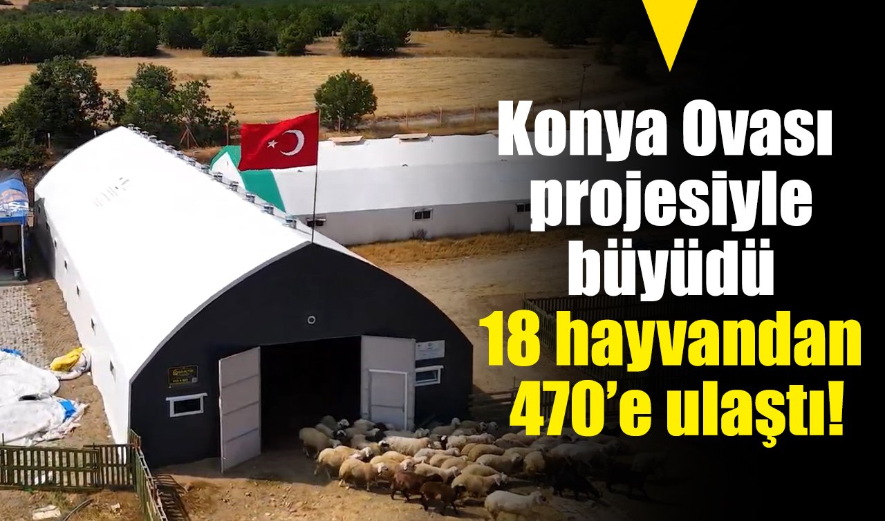 Konya Ovası projesiyle büyüdü: 18 hayvandan 470’e ulaştı!