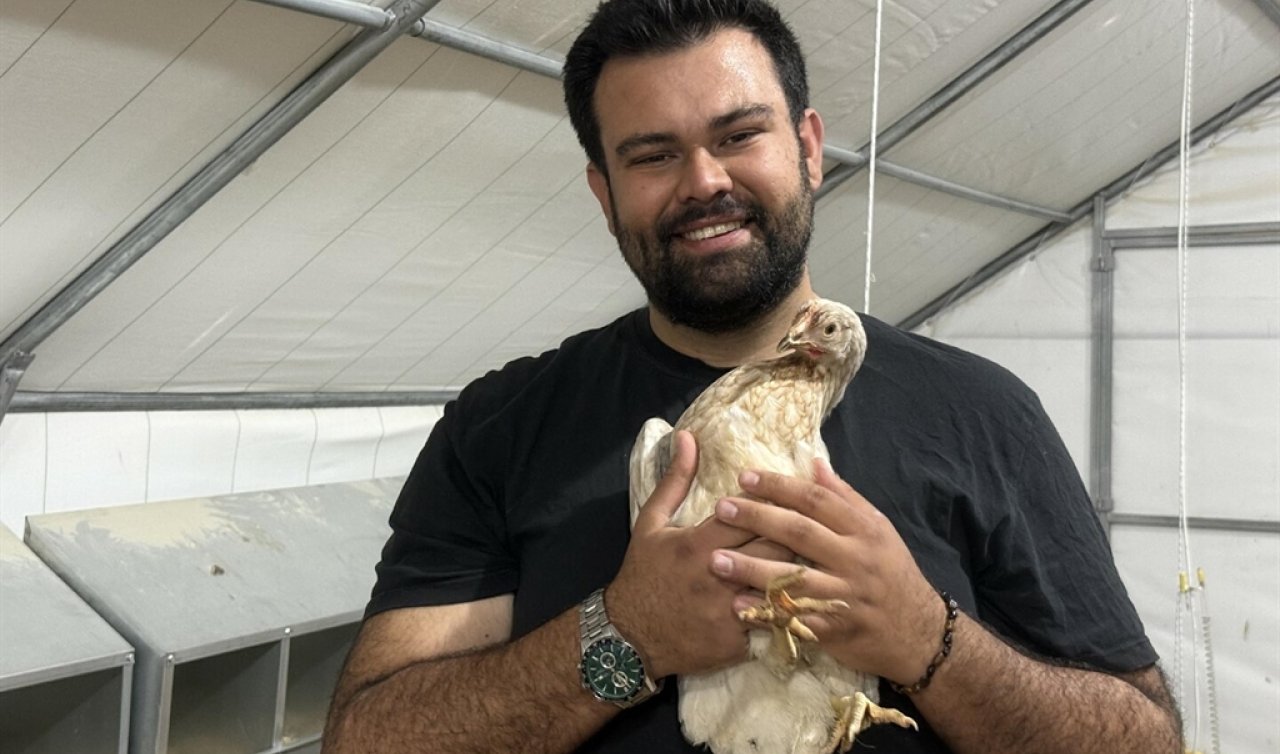 Otomobilini satıp hayali olan tavuk çiftliğini kurdu 