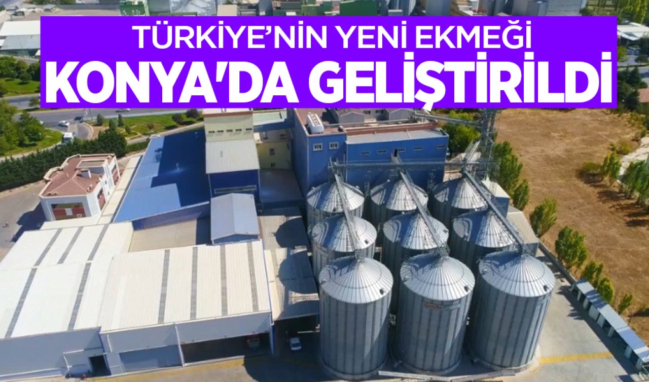Türkiye’nin yeni ekmeği Konya’da geliştirildi