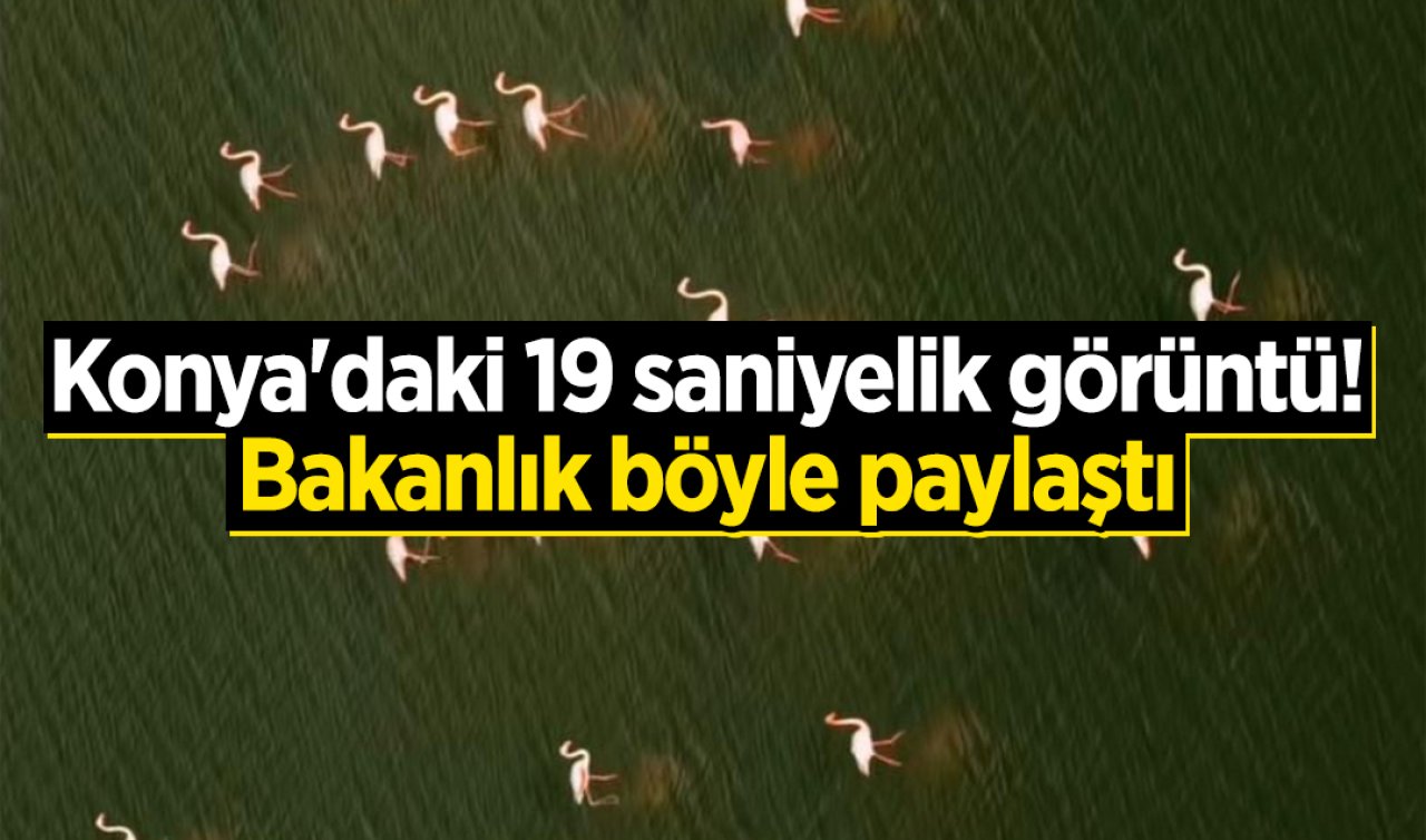 Konya’daki 19 saniyelik görüntü! Bakanlık paylaştı 