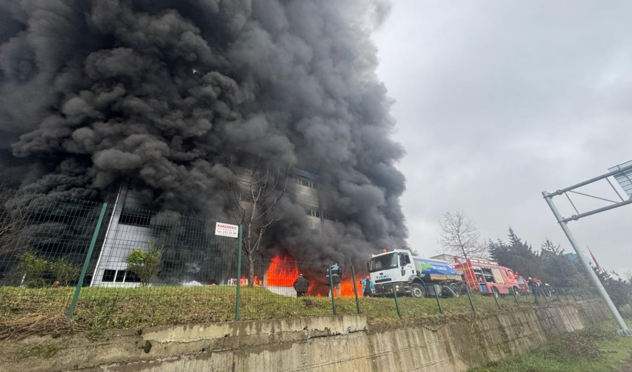 Fındık fabrikası deposunda yangın